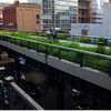 Google Donates $1 Million To The High Line